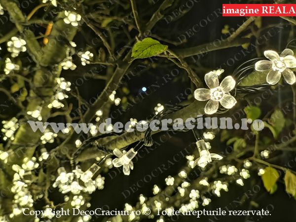 instalatii luminoase exterior Craciun copac flori cires leduri alb cald